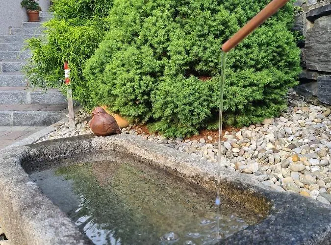 Rieser باد هوفغاستين